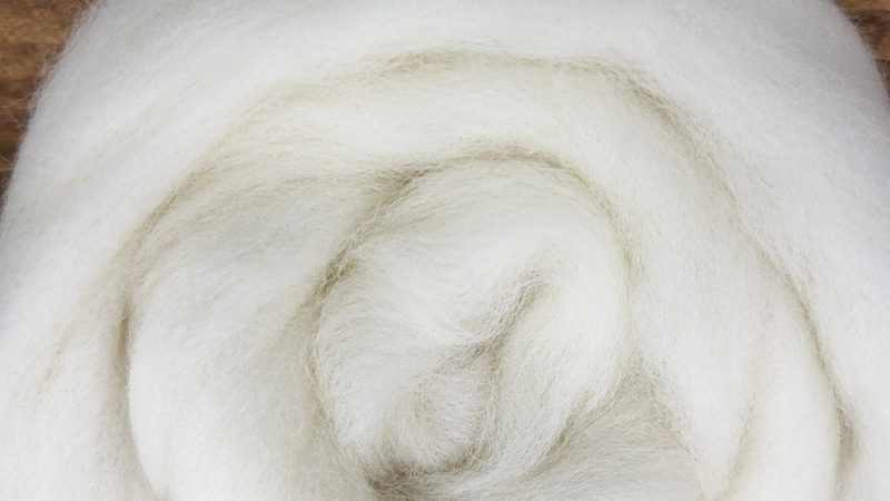 Wełna merino – dlaczego raz ją założysz i nie wrócisz już do syntetyków ani zwykłej wełny?